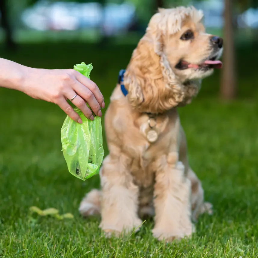 Dog Waste Bags