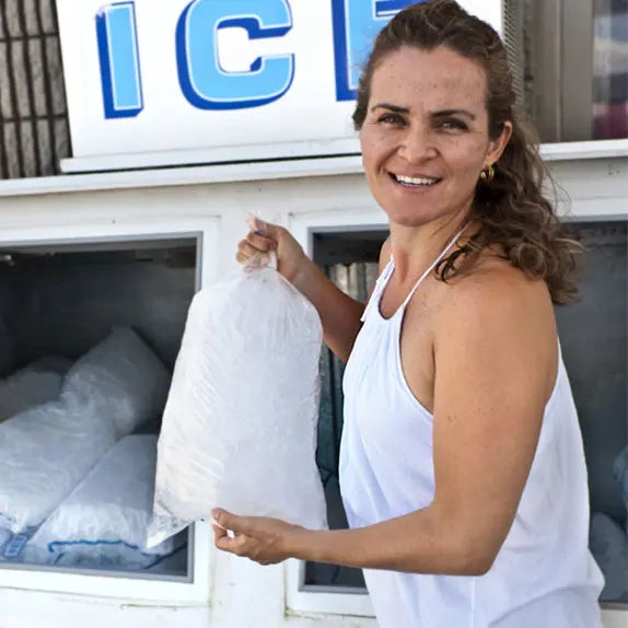 Ice Bags